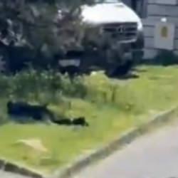 Levent’teki olayda çatışma anı ortaya çıktı