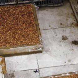 Mide bulandıran şartlarda lokum ve cezerye üretildiği ortaya çıktı