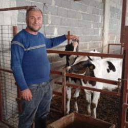 Adanalı besiciden ilginç yöntem: İneklerin süt verimini artırmak için uyguluyor 