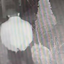 Samsun'da 5 milyonluk ev vurgunu! Şaşkınlık yaratan rahatlıkları kamerada