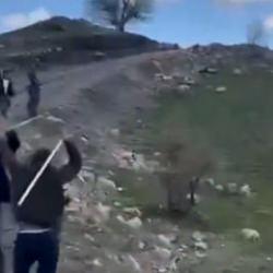 Şırnak'ta meydan muharebesi gibi kavga! Çıkan olaylarda 3 kişi tutuklandı