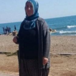 Aksaray'da acı kaza: Üzerine ağaç devrilen kadın öldü