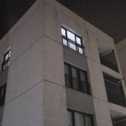 Başakşehir'de sitede mescidinde 4 yavru kedi parçalanarak öldürüldü iddiası