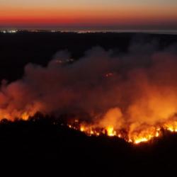 Beykoz'da ormanlık alanda çıkan yangın kontrol altına alındı