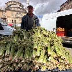 Kilogramı 150 TL'ye dayandı! Yüz güldüren hasat