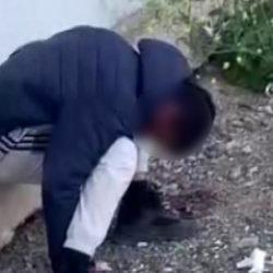 Hatay'da kameraya yansıyan görüntü yüreklere korku salmıştı: Yeni gelişme 