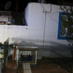 Eski dosyalar açıldı! Kaza değil cinayet çıktı