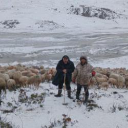 Isparta'da tipi ve heyelan esareti: 2 çoban ve 650 küçükbaş yaylada mahsur kaldı