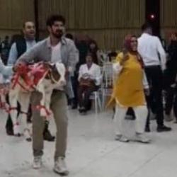 Osmaniye'de gelin ve damada verilen hediye düğüne damga vurdu 