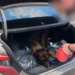 Sakarya'da 80 kilo uyuşturucu ele geçirildi: 3 tutuklama