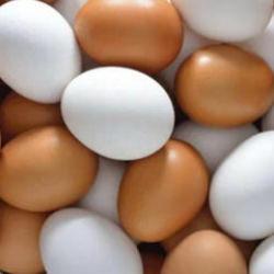 43 yıllık ünlü tavukçuluk firmasından kötü haber: İflas etti!