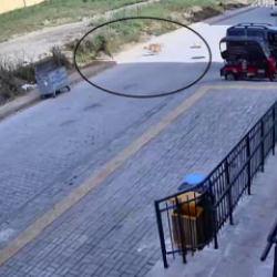 Hatay'da 7 yaşındaki çocuğun başıboş sokak köpeklerinden kaçtığı anlar kamerada 