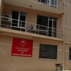 MASAK incelemesiyle ortaya çıktı! Müdüre 600 milyon liralık soruşturma 