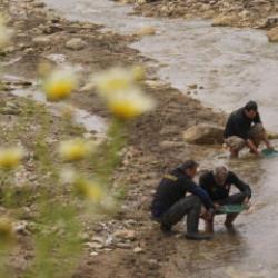Aydın'da altın çılgınlığı! Duyan duymayana duyurdu: Herkes dereye akın etti