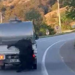 Akılalmaz hadise! Kurbanlığı araçtan sarkıtıp kilometrelerce sürükledi