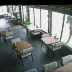 Kafeye çifte atan yılkı atı kamerada! İlginç anlar tekrar tekrar oynatıldı 