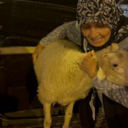 Kaçan kuzuya benzetildi! 'Çorap' kavurma olmaktan son anda kurtuldu: İşte gülümseten olay