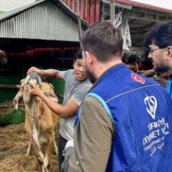 TDV Kurban Bayramı’nda yaklaşık 37 milyon ihtiyaç sahibine kurban eti ulaştırdı