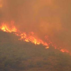 El Nino'nun gölgesinde korkutan tablo: Milyonlarca hektar tehlike altında
