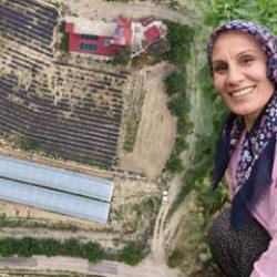Köyde herkes bu işi yapmaya başladı! 600 bin TL kazanmak mümkün