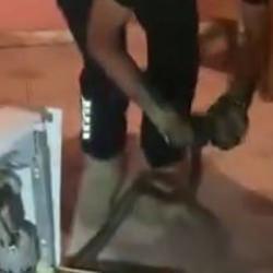 Hatay'da bulaşık makinesinden 2 metrelik yılan çıktı 