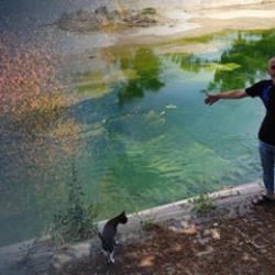 Kenti istila ettiler! İhmal var diyen vatandaş: Çocuklarımız yara içinde