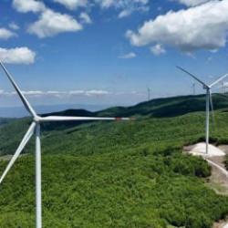 Yenilenebilir enerji, gazın tahtını salladı: Elektrikte güneş ve rüzgar devrimi!