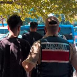 Van'da yağma! Çobanı silahla tehdit edip 800 küçükbaşı çaldılar
