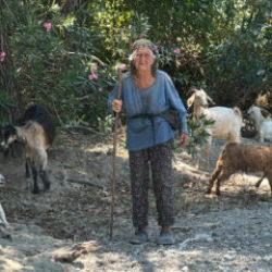 90 yaşındaki çobanı gören hayret ediyor 