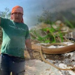'Yılanı öldürdüm' diyerek çektiği video cebine ateş düşürdü 