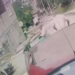 Ağabeyinin, yengesini ve yeğenini öldürdü! Yeni gelişme
