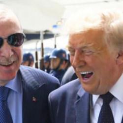 NATO Zirvesi sonrası CİMER'e teşekkür mesajları yağdı: Vatandaşlar Türkiye'nin ev sahipliğini övdü.