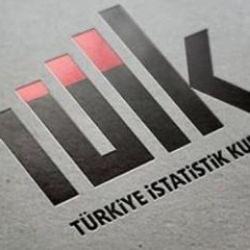 TÜİK açıkladı: En çok kazandıran yatırım aracı belli oldu!