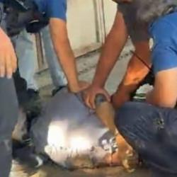 Akli dengesi yerinde olamayan adamın üzerinden çıkan para şoke etti