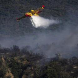 Fransa'da orman yangını çıkaran 59 kişi gözaltına alındı