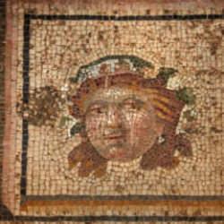 'Sadece mozaiği değil, zedelenen hafızayı da onarıyoruz!' Zeugma'nın 13. paneli evinde