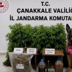 Zehir tacirlerine 18 ilde dev darbe: 59 tutuklama