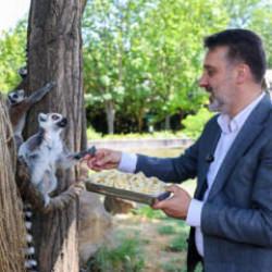 Başkan Vekili Biba, Bursa Hayvanat Bahçesi'nde incelemelerde bulundu 