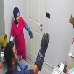 Çılgın kedi Türkiye'nin gündemine oturdu! Tutabilene aşk olsun