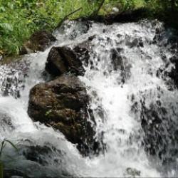 Yılda 1 kez süt aktığına inanılıyor! Trabzon’un 3 asırlık yaşam pınarı: Çamlıbel Irmağı