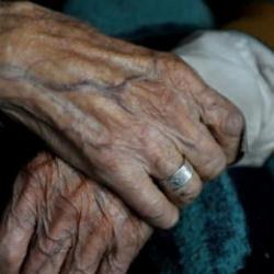 Arsayı üzerine geçirip dedesine bakmayı bıraktı! Yargıtay'dan emsal karar