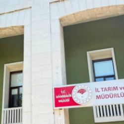Kedinin ısırdığı 4 yaşındaki çocuk entübe edildi! Kuduz testi pozitif çıktı