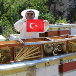 Bu seçimi arılar belirledi! 4 partinin kıyasıya yarışı sonuç verdi 