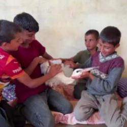 Hatay'da misafirperverlikte sınır yok! Göçte yorgun düşen leyleği evlerinde ağırladılar