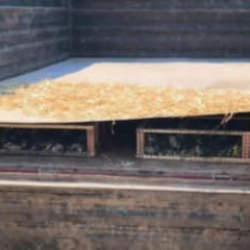 Hatay'da traktör römorkunda binlerce saka kuşu çıktı! Sürücüye 19,8 milyon TL ceza kesildi