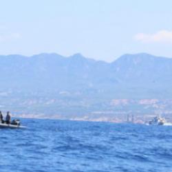 KKTC'deki gemi faciasında ihmaller zinciri: Can salları arızalı tahliye güvenliği yetersiz