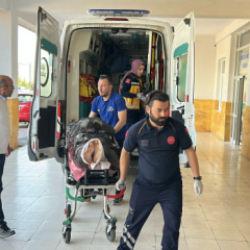 Sivas'ta ayı dehşeti! Yaralı çoban helikopterle hastaneye kaldırıldı 