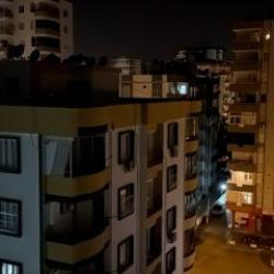 Adana'da deli eden cırcır böceği! Vatandaşa uyku haram oldu