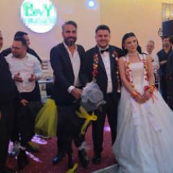 Adana'da düğüne damga vuran takı! Gelin ve damada keçi hediye edildi