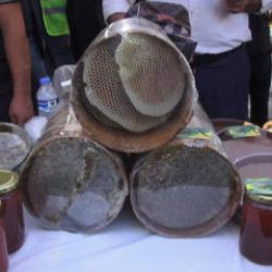 Batman'da araba fiyatına bir kilogram bal satıldı 